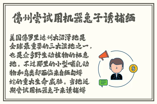 四虎影城库